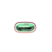 251