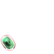 256
