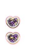 244