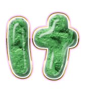 009