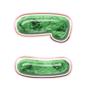 010