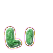 048