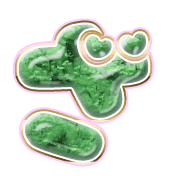 061