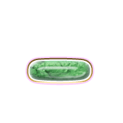 161
