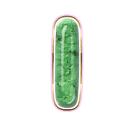 242