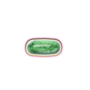251