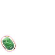 256