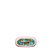 250