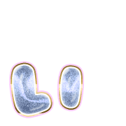 048