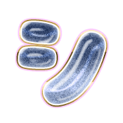 092