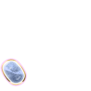 256
