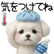022