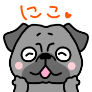 004