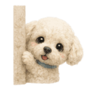 019