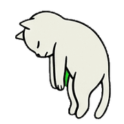 020