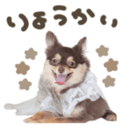 006