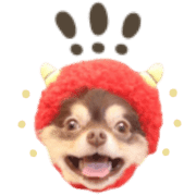 009