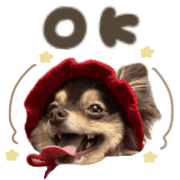 011