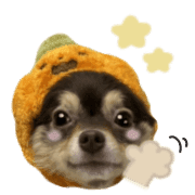 018