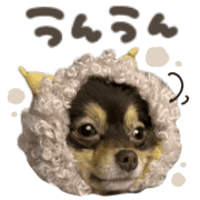 031