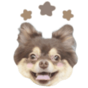 034