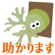 010