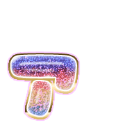127