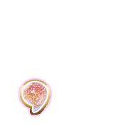 245