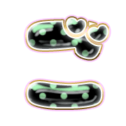 060