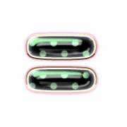 239