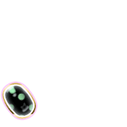 256