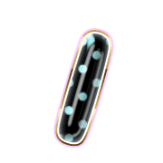 247