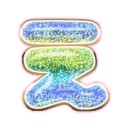 004
