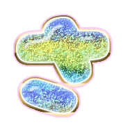 011