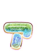 127