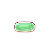 251