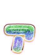 127