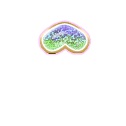 231