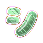 092
