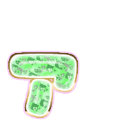 127
