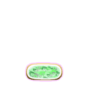 250