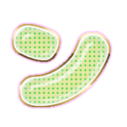 126