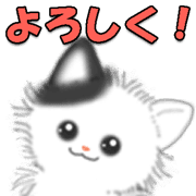 006