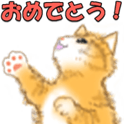 013