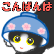 019