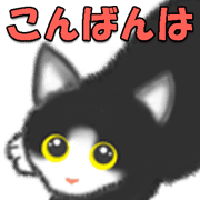 020