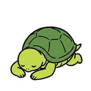 005