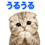 020