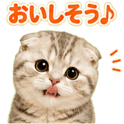 033