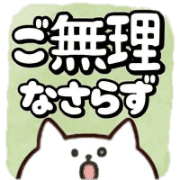 031